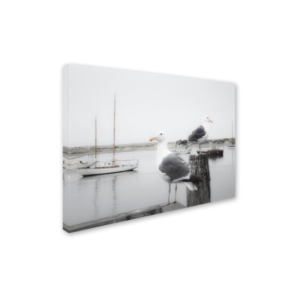 Moises Levy 'Two Seagulls & Boats' Canvas Art,35x47